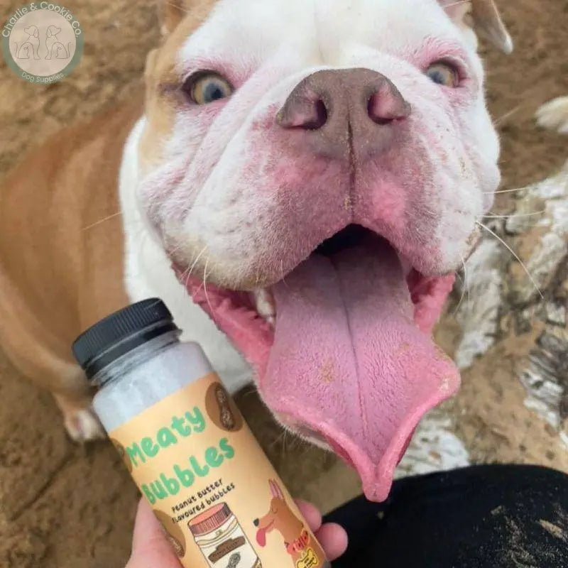 Meaty Bubbles - Flavoured Dog Bubbles for Engaging Play - Charlie & Cookie Co.
