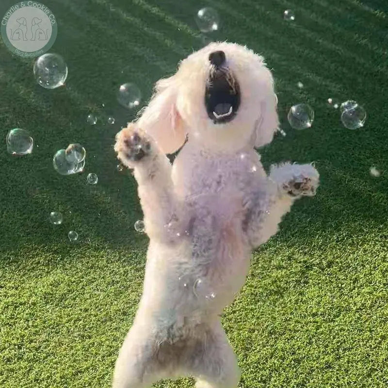 Meaty Bubbles - Flavoured Dog Bubbles for Engaging Play - Charlie & Cookie Co.