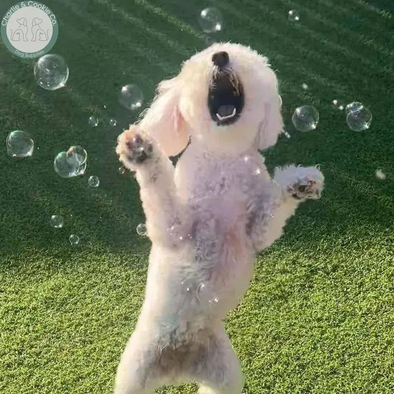 Meaty Bubbles - Flavoured Dog Bubbles for Engaging Play - Charlie & Cookie Co.