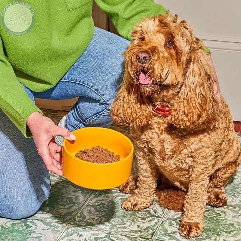Nutriment Gently Steamed Complete Dog Food 395g in Beef Lamb Chicken or Duck