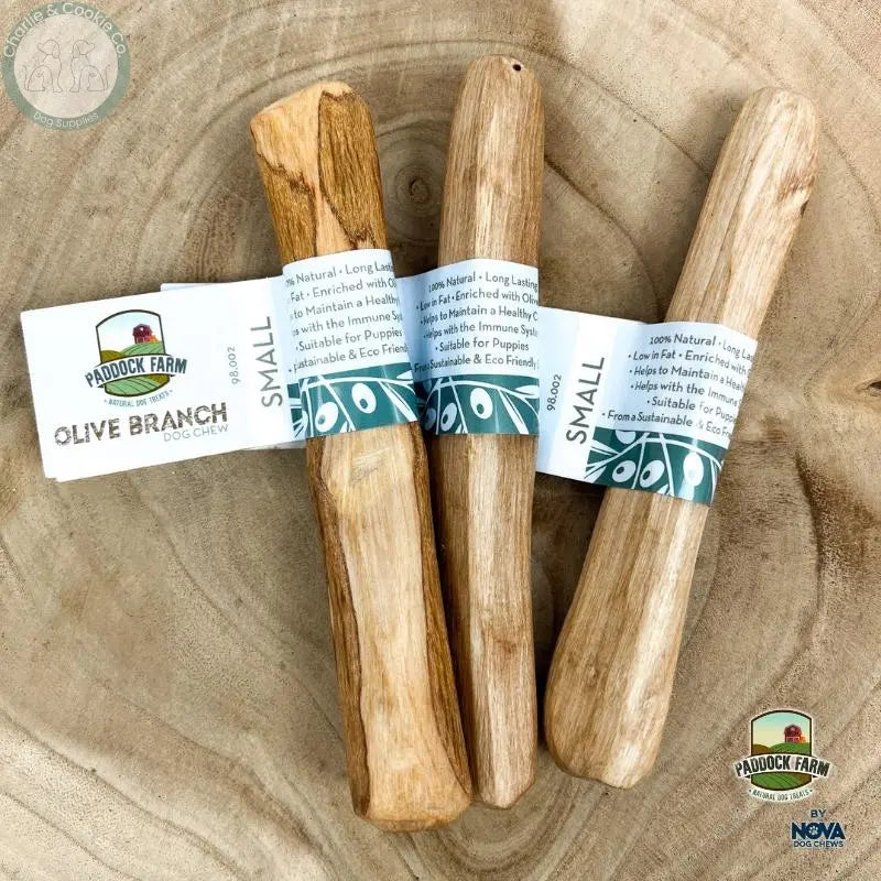 Paddock Farm Olive Branch Dog Chew natural wood chew in Small Medium and Large sizes