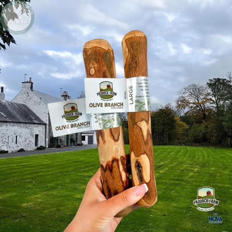 Paddock Farm Olive Branch Dog Chew natural wood chew in Small Medium and Large sizes