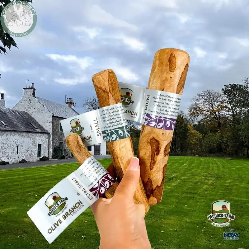 Paddock Farm Olive Branch Dog Chew natural wood chew in Small Medium and Large sizes