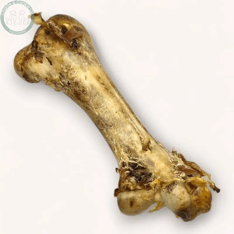 Paddock Farm Ostrich Dino Bone natural ostrich dog chew