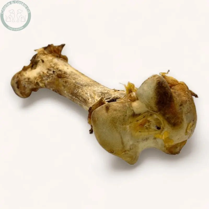 Paddock Farm Ostrich Dino Bone natural ostrich dog chew