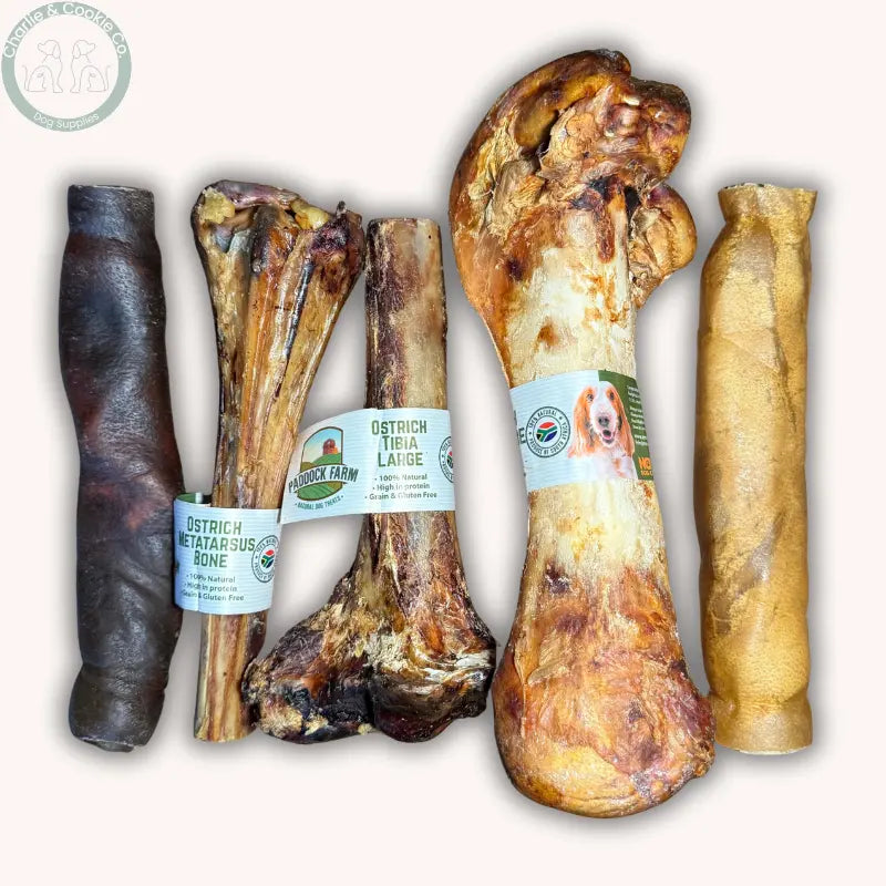 Power Chewer Mega Bundle | 5 Jumbo-Size Natural Dog Chews Bundle