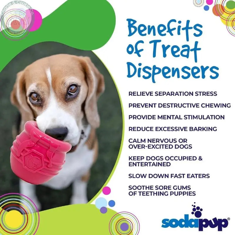 SodaPup Honey Pot PUP-X treat dispenser dog toy in Large or XL, Yellow, Blue, Pink or Red