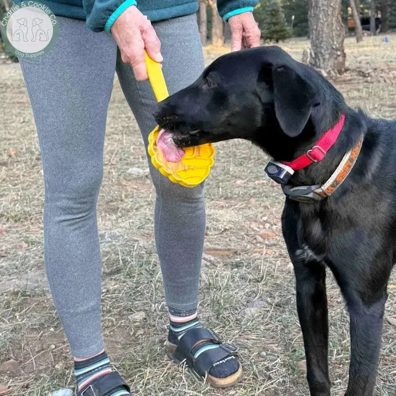 SodaPup Lick Stick hand-held dog licking enrichment toy in Beehive, Ice Cream Cone, Flower or Waffle designs