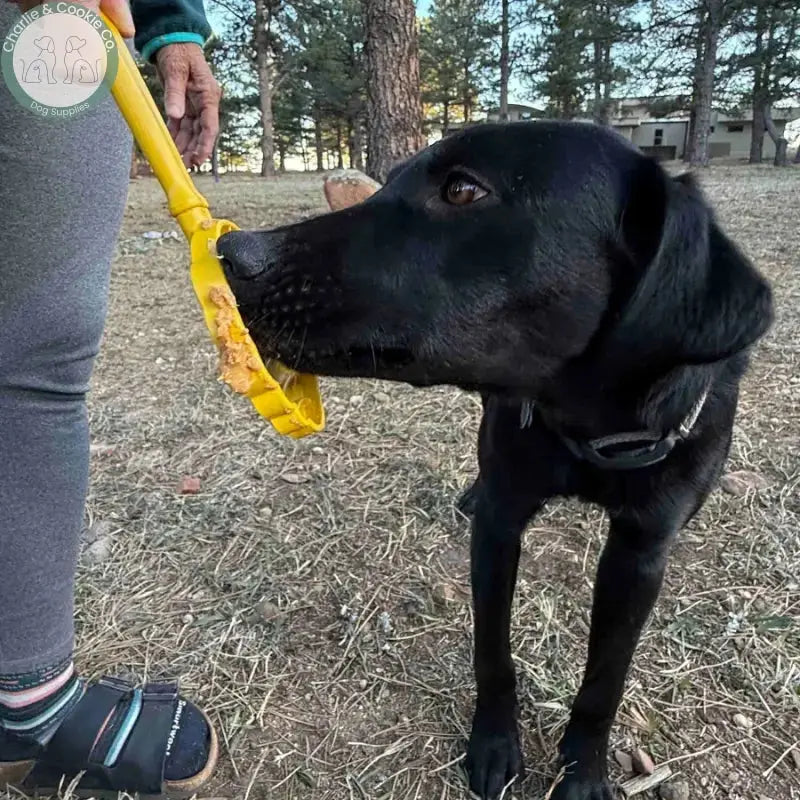 SodaPup Lick Stick hand-held dog licking enrichment toy in Beehive, Ice Cream Cone, Flower or Waffle designs