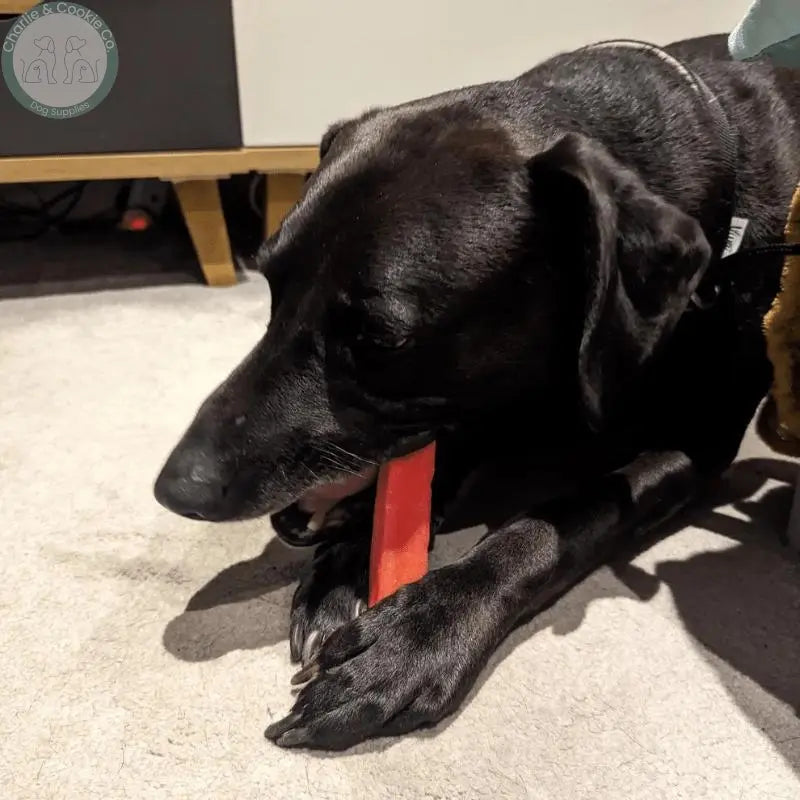 The K2 Yak Chew Strawberry - Durable, Nutritious Dog Chew - 3 Weight Options - Charlie & Cookie Co.