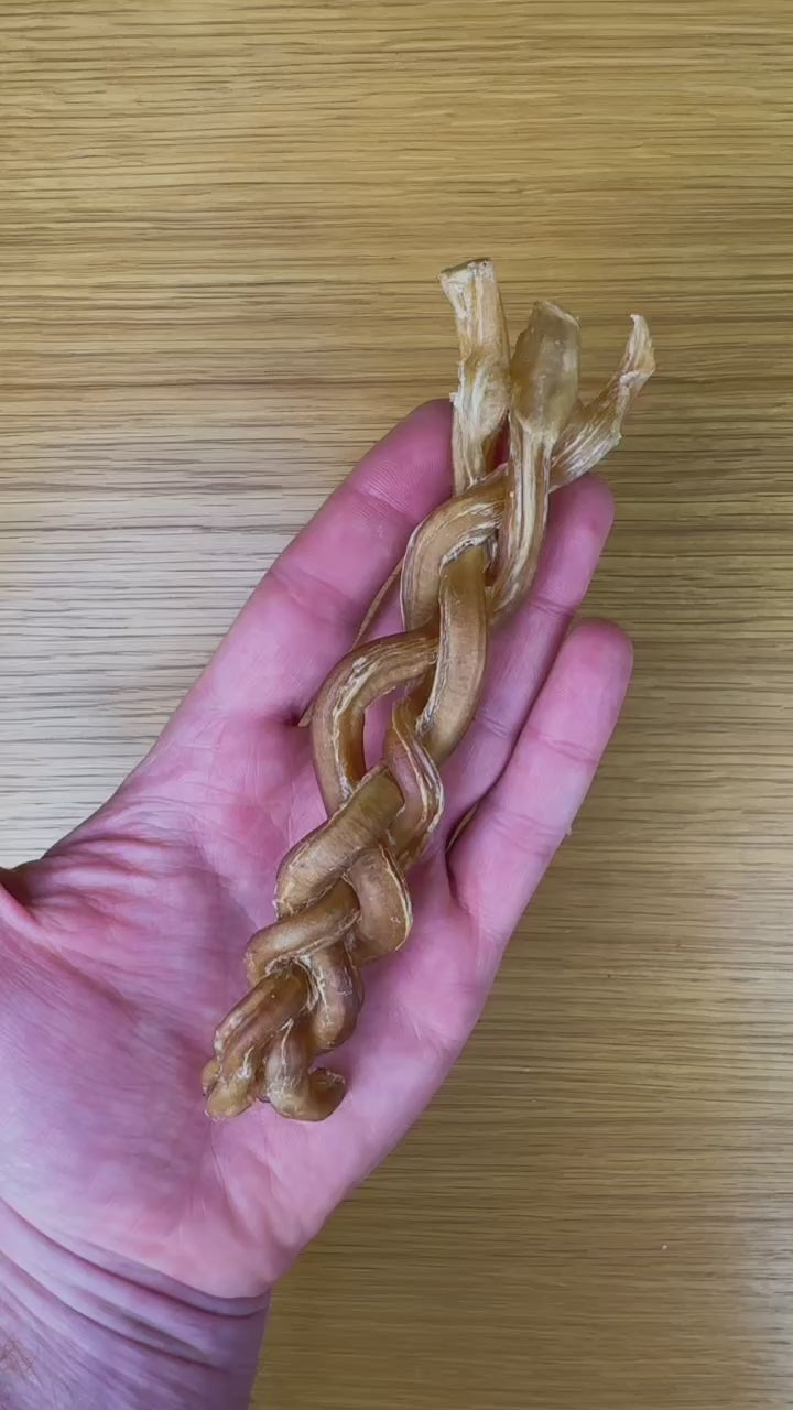 C&C Braided Lamb Pizzle – High-Protein Natural Dental Chew