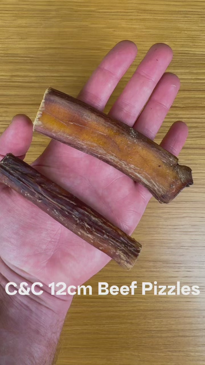 C&C Bulls Pizzle 5pk - 12cm or 25cm | Long-Lasting Natural Dental Stick Chews for Dogs