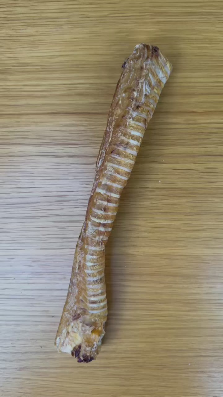 C&C Buffalo Trachea ~30cm – High-Protein Natural Dog Chew for Dental Health