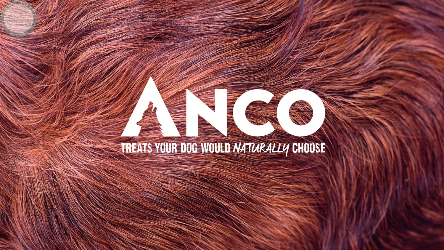 Anco logo