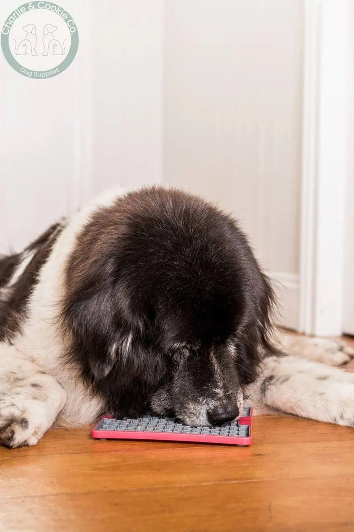 Licking Mats - Charlie & Cookie Co.