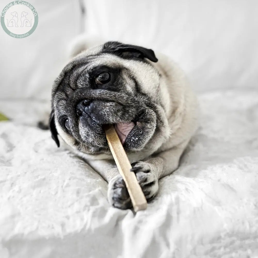 Long-Lasting Chews Charlie &amp; Cookie Co.
