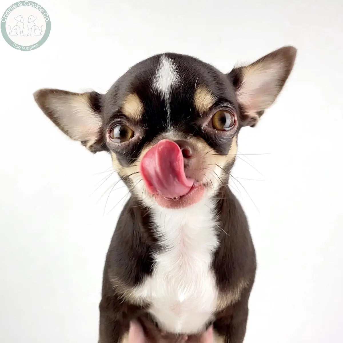 Low Fat Chews and Treats Charlie &amp; Cookie Co.