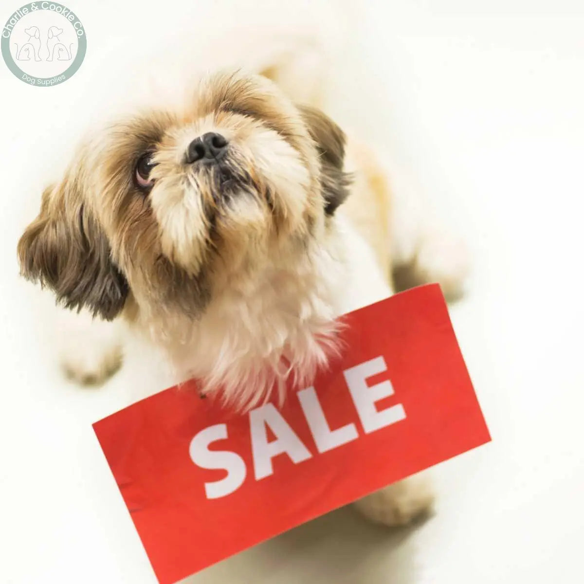 Sale - Charlie &amp; Cookie Co.