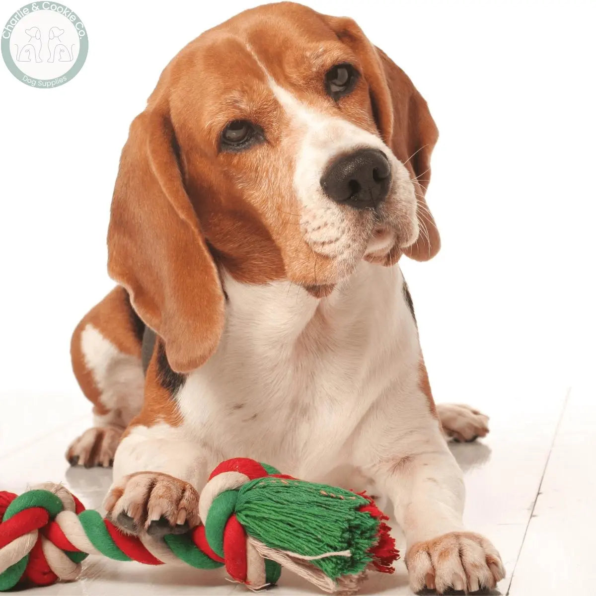 Toys - Charlie &amp; Cookie Co.
