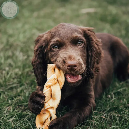 Anco Naturals Beef Skin Rolls &amp; Braids for Dogs | Natural Long-Lasting Chews Medium &amp; Large