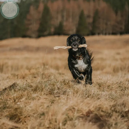 Anco Naturals Beef Skin Rolls &amp; Braids for Dogs | Natural Long-Lasting Chews Medium &amp; Large