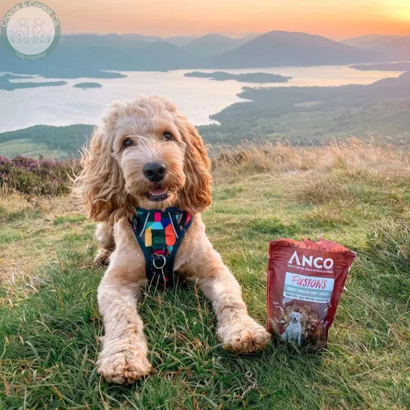 Anco Fusions Treats 100g - 4 Flavour Options - High-Meat, Grain-Free Dog Treats - Charlie &amp; Cookie Co.