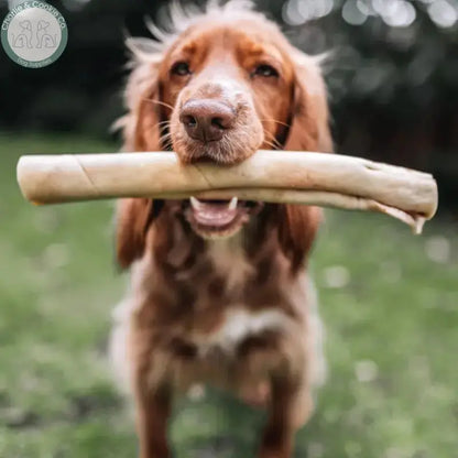 Anco Naturals Beef Skin Rolls &amp; Braids for Dogs | Natural Long-Lasting Chews Medium &amp; Large Anco
