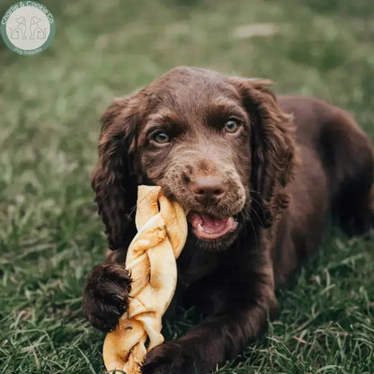 Anco Naturals Beef Skin Rolls &amp; Braids for Dogs | Natural Long-Lasting Chews Medium &amp; Large Anco