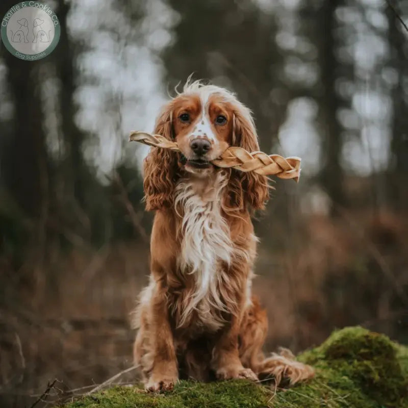 Anco Naturals Buffalo Skin Rolls &amp; Braids | Natural Dog Chews (Medium &amp; Large)