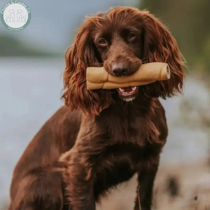 Anco Naturals Buffalo Skin Rolls &amp; Braids | Natural Dog Chews (Medium &amp; Large) Anco