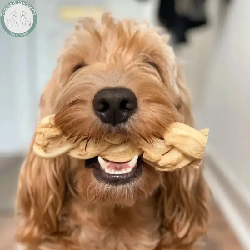 Anco Naturals Buffalo Skin Rolls &amp; Braids | Natural Dog Chews (Medium &amp; Large) Anco