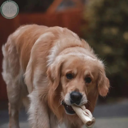 Anco Naturals Goat Rolls &amp; Braids | Natural Dog Chews (Medium &amp; Large)