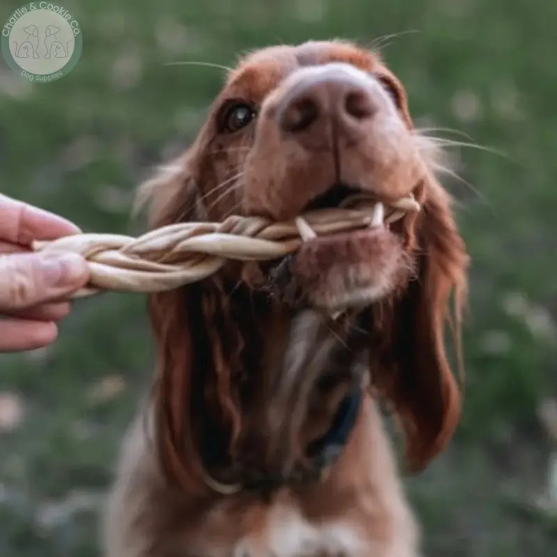Anco Naturals Goat Skin Rolls and Braids dog chews