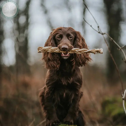 Anco Naturals Goat Rolls &amp; Braids | Natural Dog Chews (Medium &amp; Large)