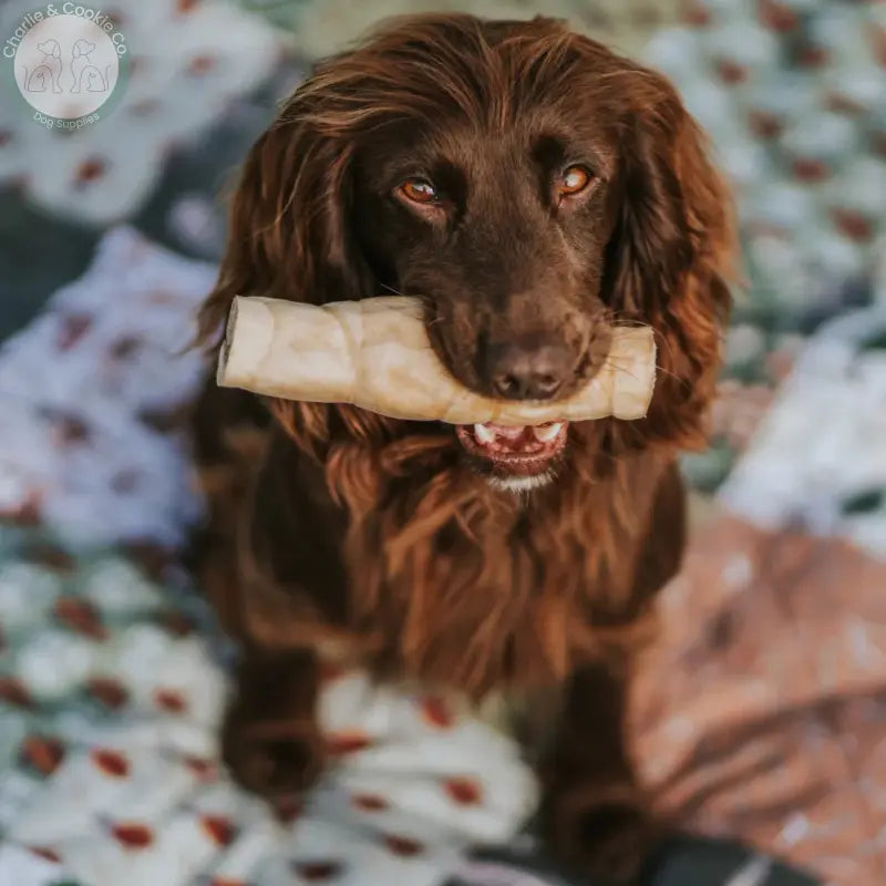 Anco Naturals Lamb Skin Rolls &amp; Braids | Natural Dog Chews (Medium &amp; Large)