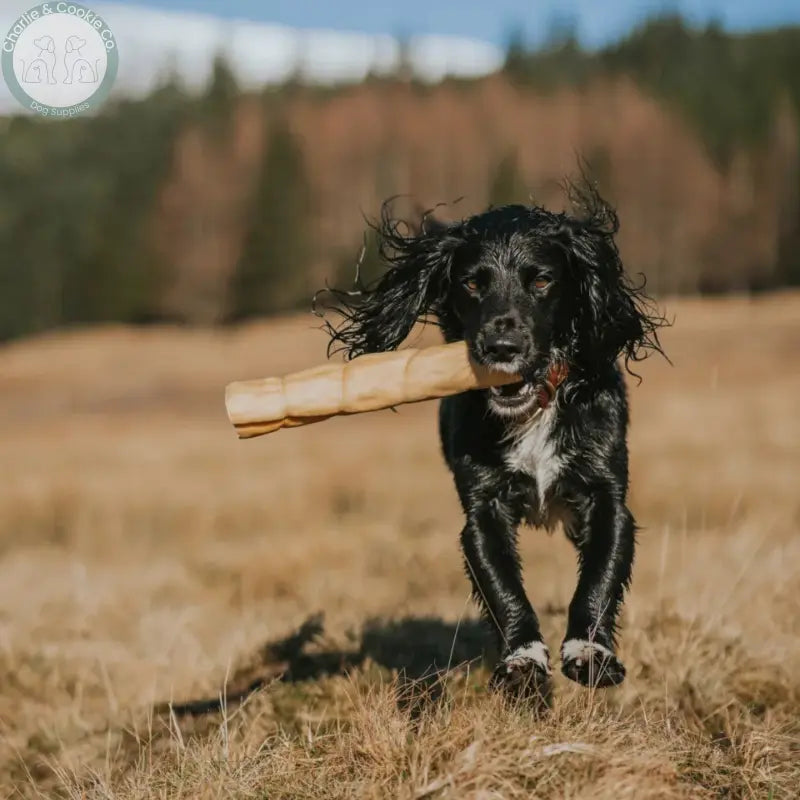 Anco Naturals Lamb Skin Rolls &amp; Braids | Natural Dog Chews (Medium &amp; Large)