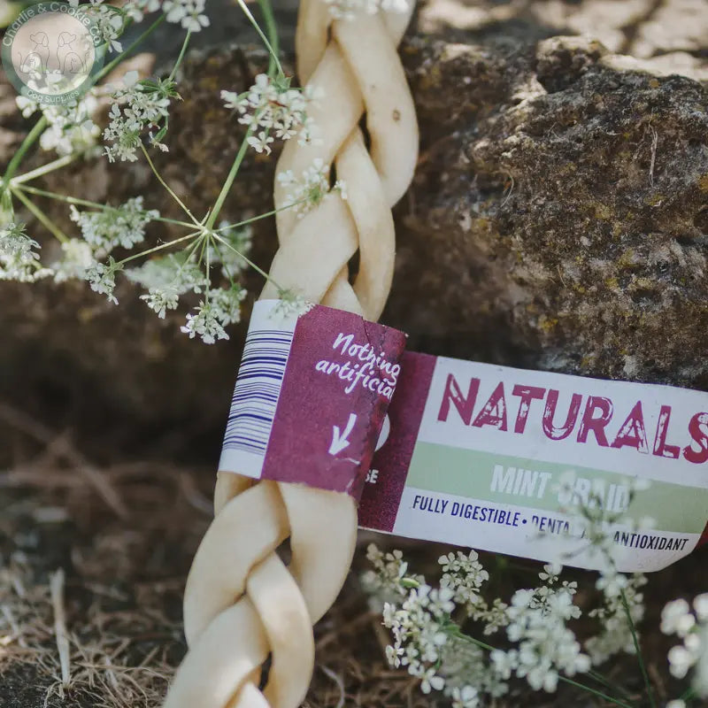 Anco Naturals Mint Braid | Natural Beef Dog Chew with Added Mint Anco