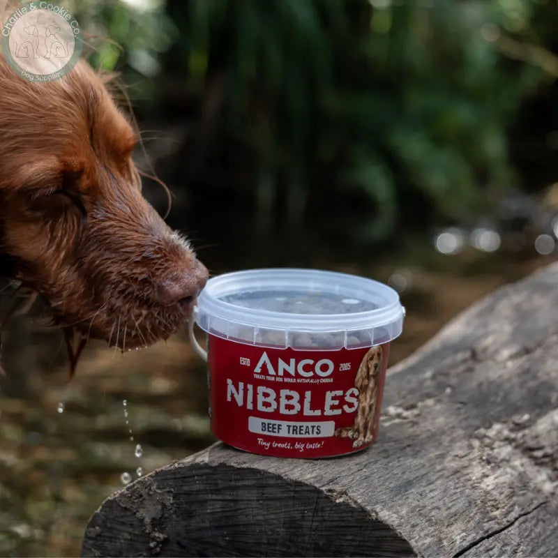 Anco Nibbles Training Treats 300g grain-free dog treats in six protein options