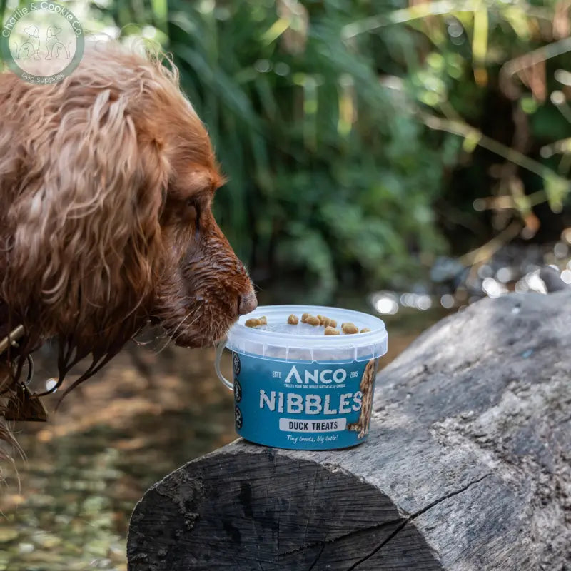 Anco Nibbles Training Treats 300g grain-free dog treats in six protein options