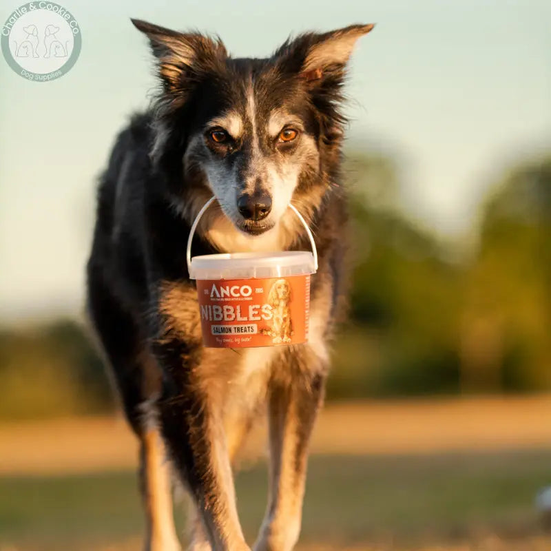 Anco Nibbles Training Treats 300g grain-free dog treats in six protein options