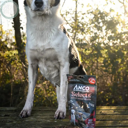Anco Selects with Collagen 85g | Bites or Strips for Joint, Skin &amp; Digestive Health Anco