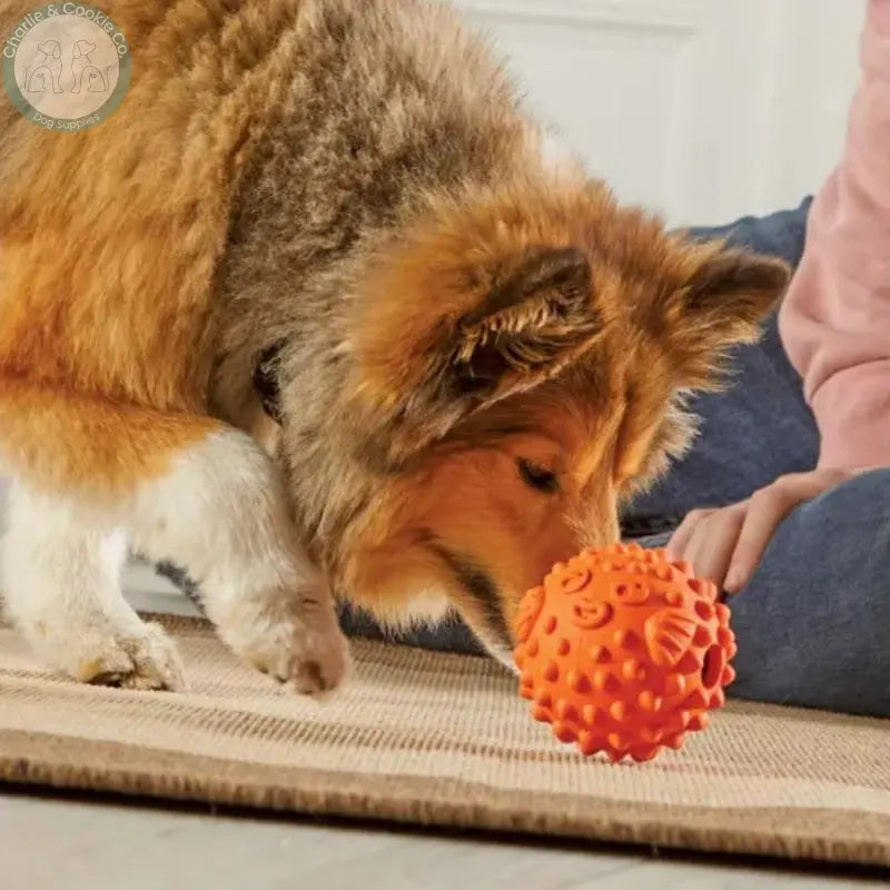 Brightkins Tough &amp; Tumble Treat Dispenser Pufferfish | Interactive Puzzle Toy for Dogs Brightkins