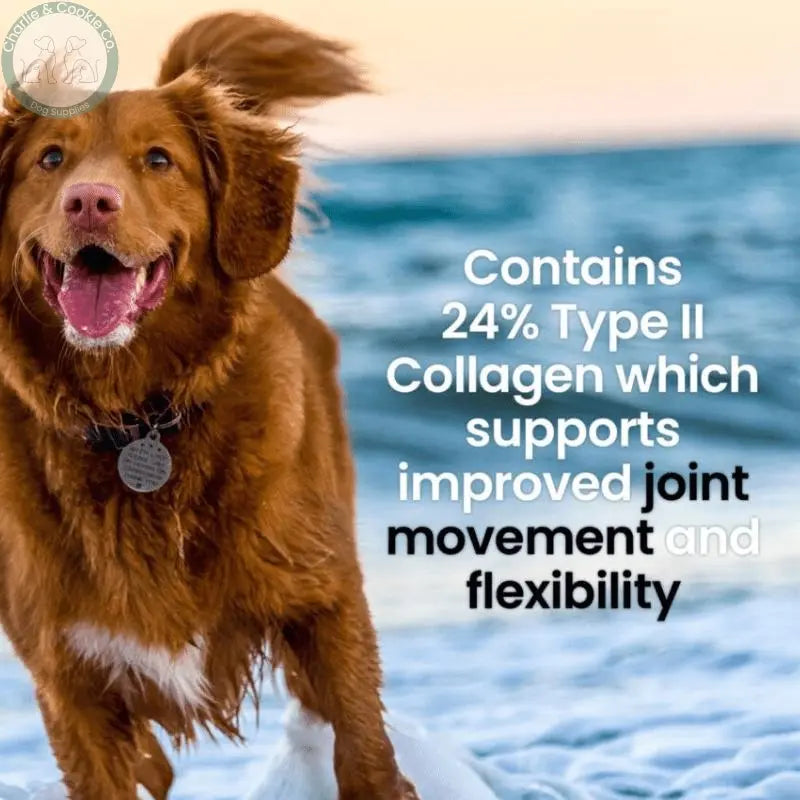 Brilliant Calcium and Collagen Bone Health Powder 200g - Joint &amp; Bone Support for Dogs - Charlie &amp; Cookie Co.