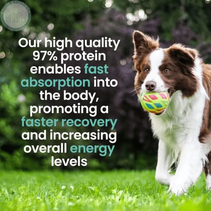 Brilliant Energy and Vitality Protein Powder 300g - High-Protein, Gut Health Supplement for Dogs - Charlie &amp; Cookie Co.