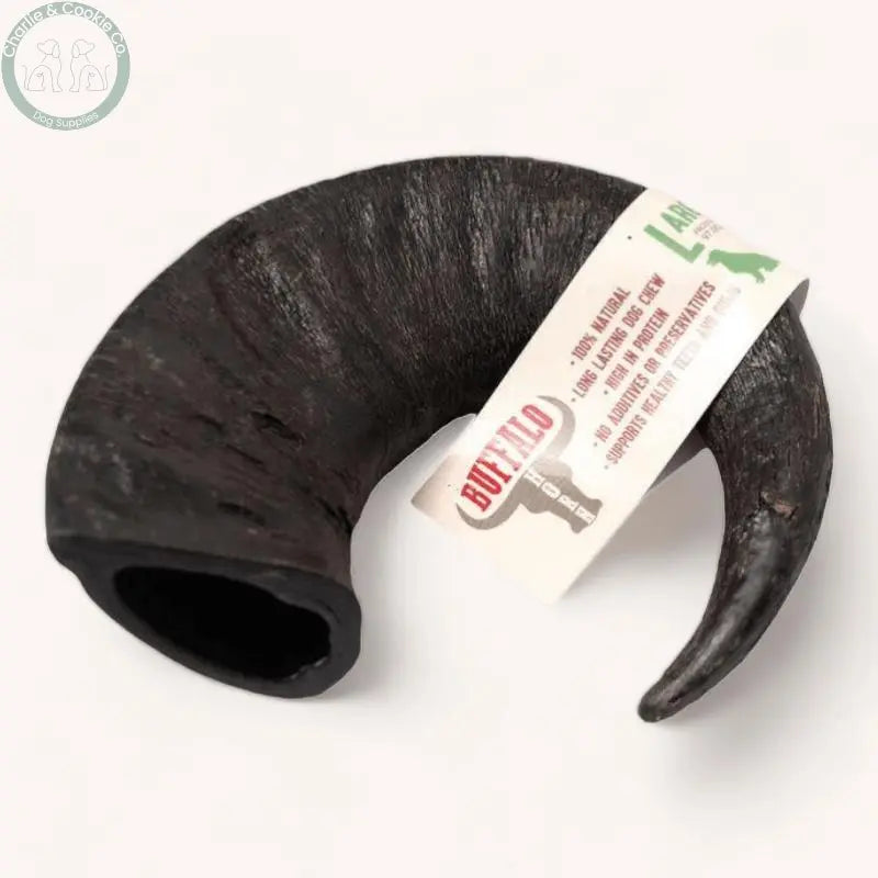 Buffalo Horn - Long-Lasting, Nutrient-Rich Dog Chew - Charlie &amp; Cookie Co.