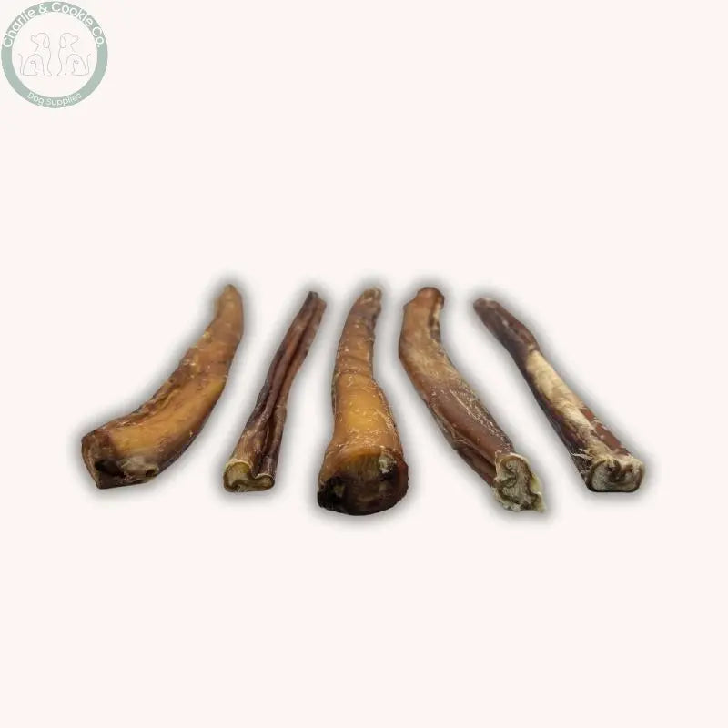 C&amp;C Beef Pizzle Chews - 12cm or 25cm | Long-Lasting Dental Treats for Dogs Charlie &amp; Cookie Co.