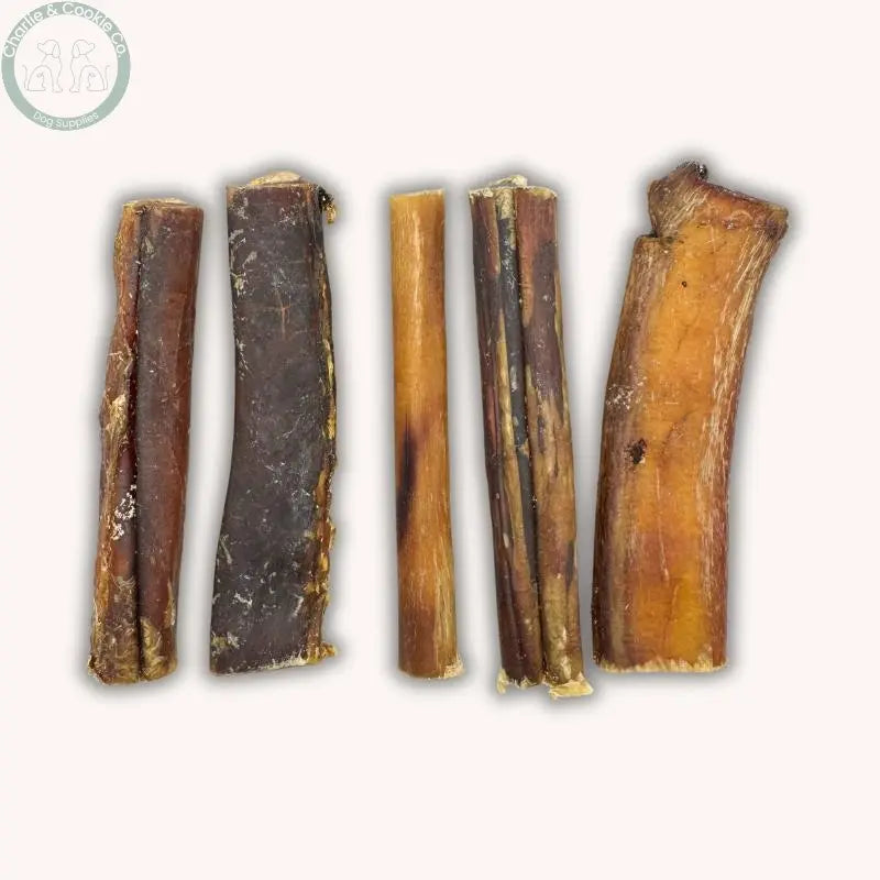 C&amp;C Beef Pizzle Chews - 12cm or 25cm | Long-Lasting Dental Treats for Dogs Charlie &amp; Cookie Co.