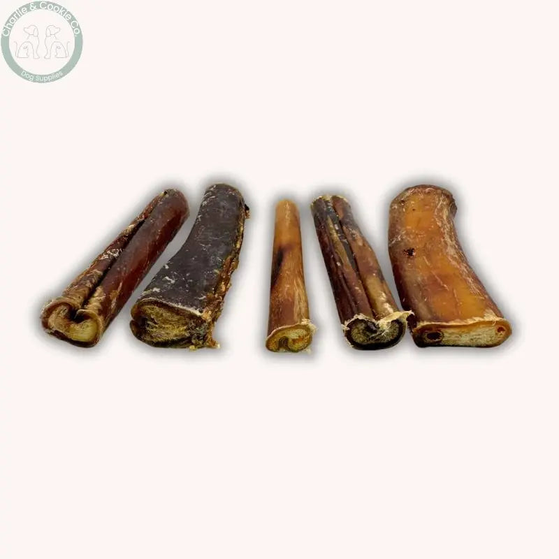 C&C Beef Pizzle Chews - 12cm or 25cm | Long-Lasting Dental Treats for Dogs Charlie & Cookie Co.