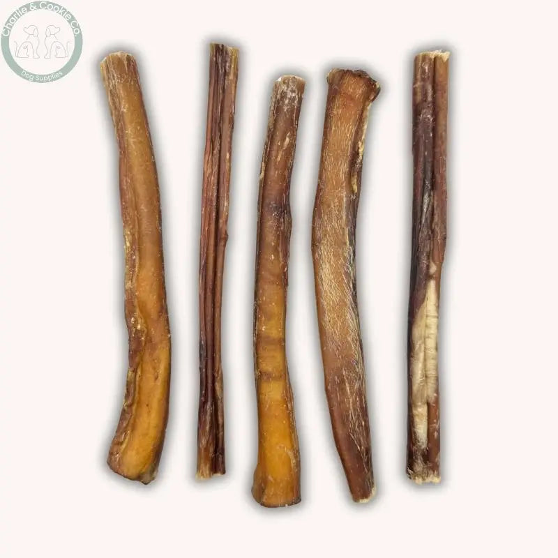 C&amp;C Bulls Pizzle 5 Pack natural beef dog chews in 12cm or 25cm