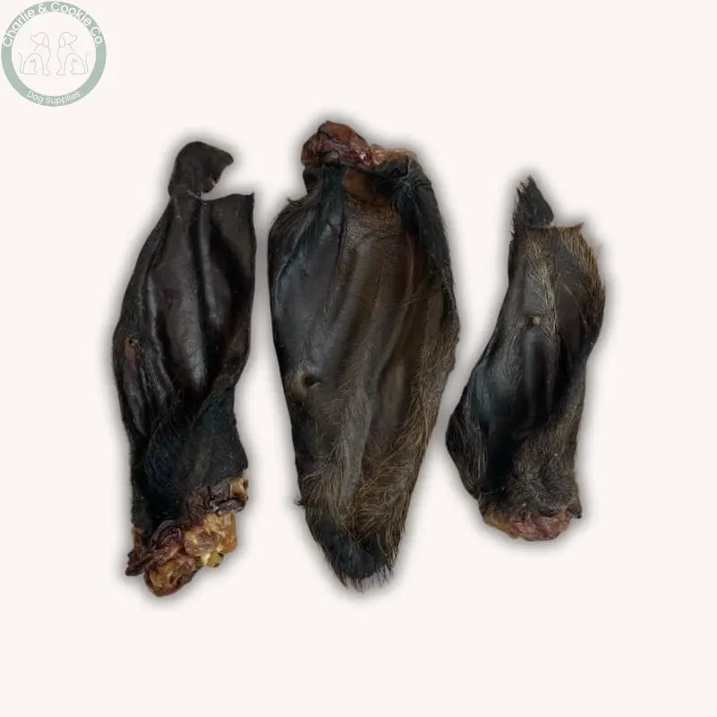 C&amp;C Buffalo Ears | Hairless or Hairy Options Charlie &amp; Cookie Co.